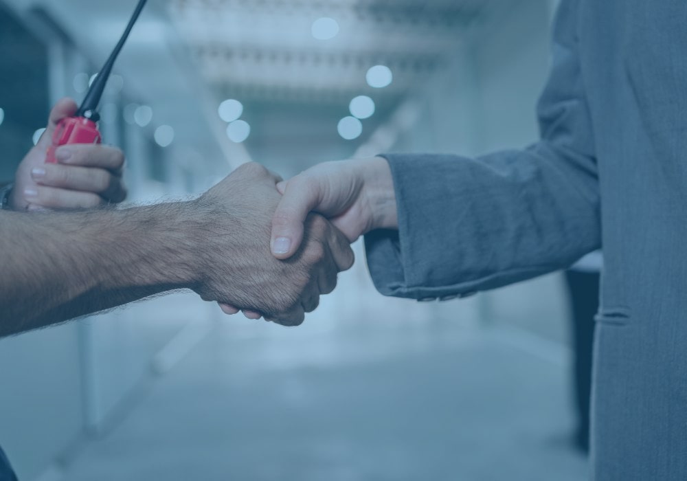 financial risk management in export